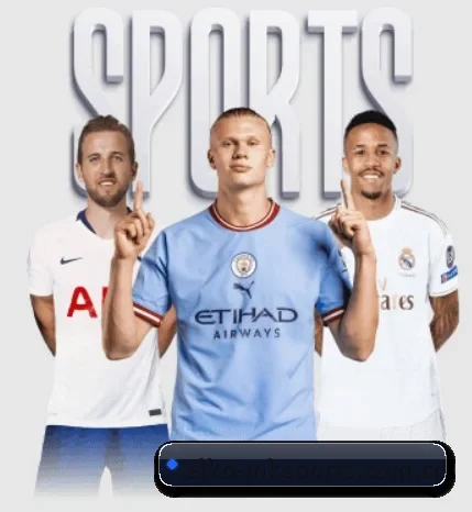 elko-mksports.com.cn的方向